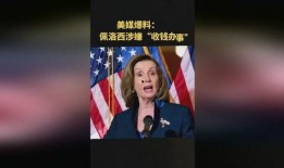 法媒爆料佩洛西新闻