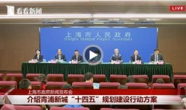 新城最新爆料新闻视频,最新爆料新闻视频深度解析