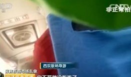 网上爆料云南导游视频大全,揭秘云南旅游背后的真实故事